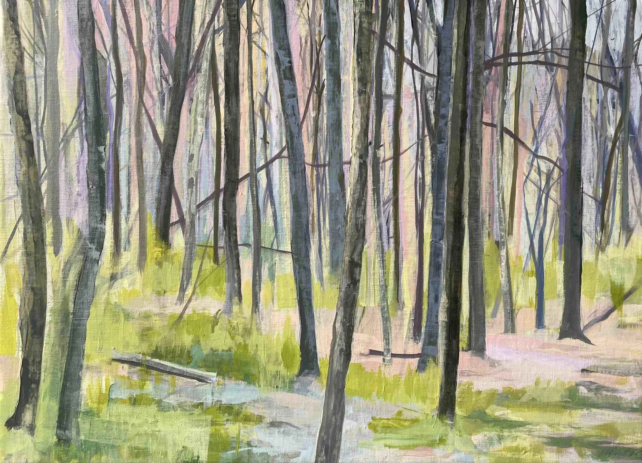 Spring, 2025, acrylic on canvas, 22x30"