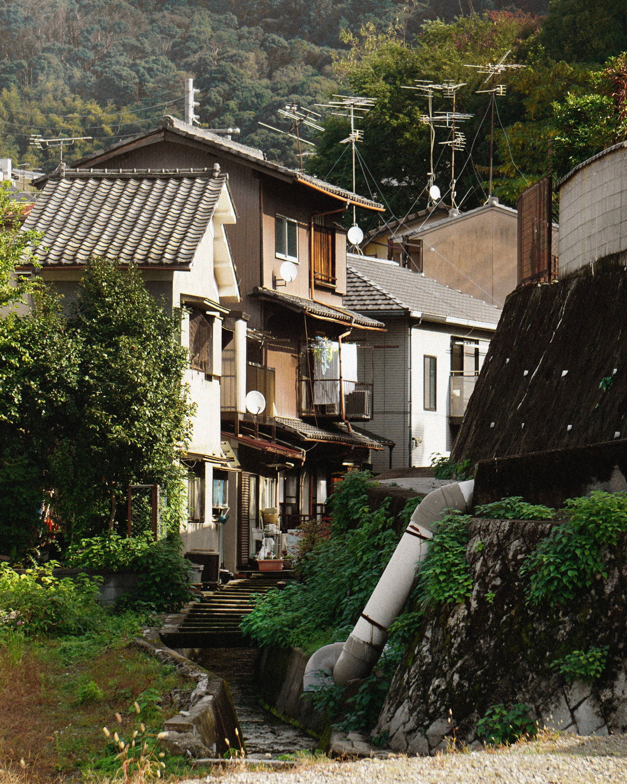 alex-laniosz-japan-architecture-kyoto.jpg