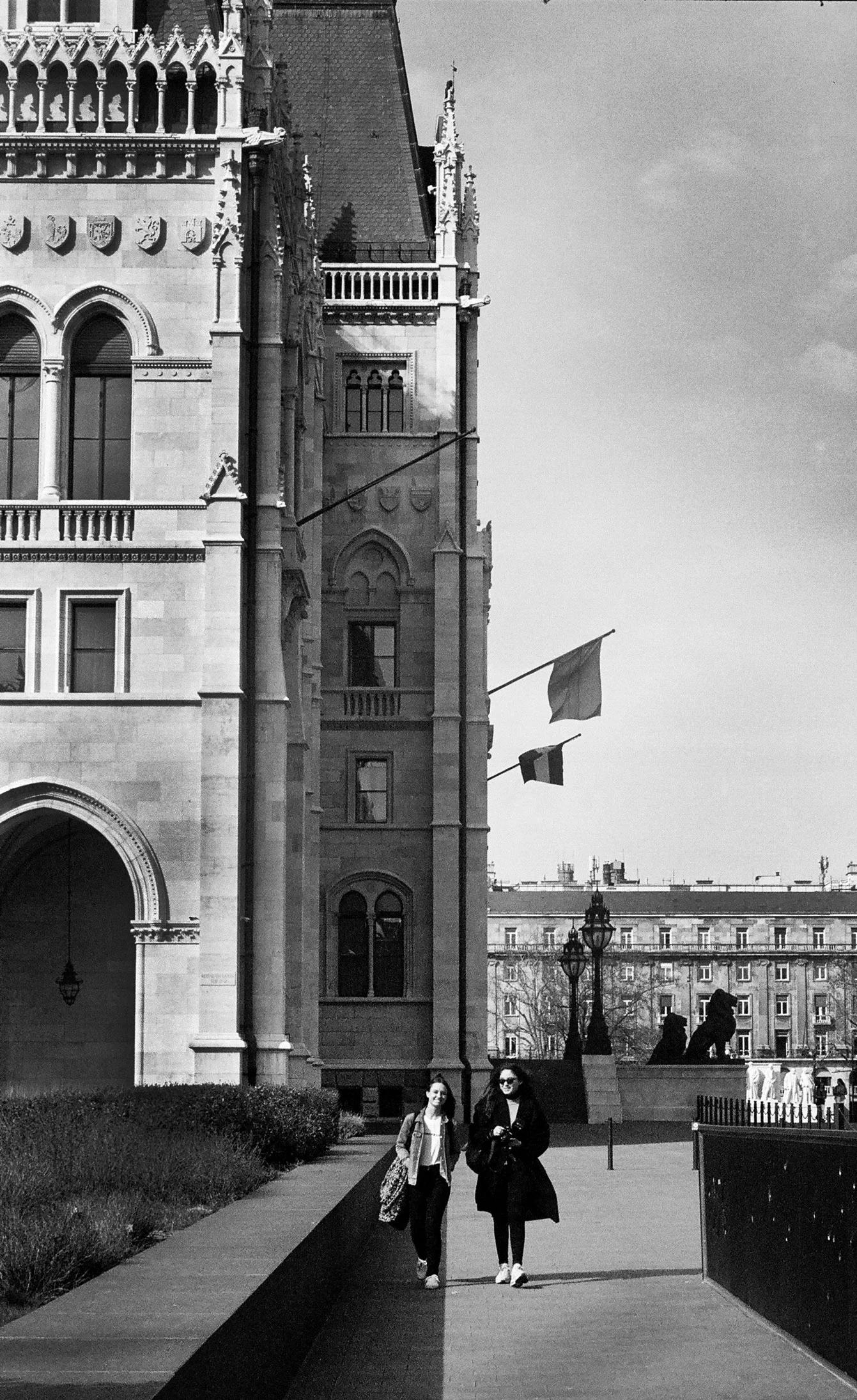 alex-laniosz-film-europe-split.jpg
