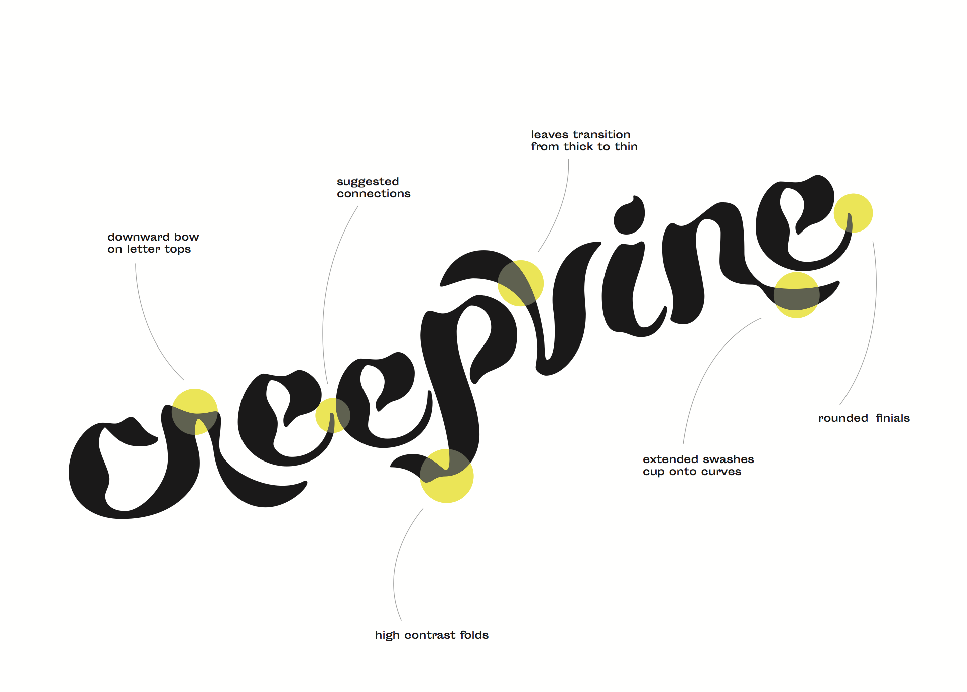 Creepvine Logotype Kathleen Morris