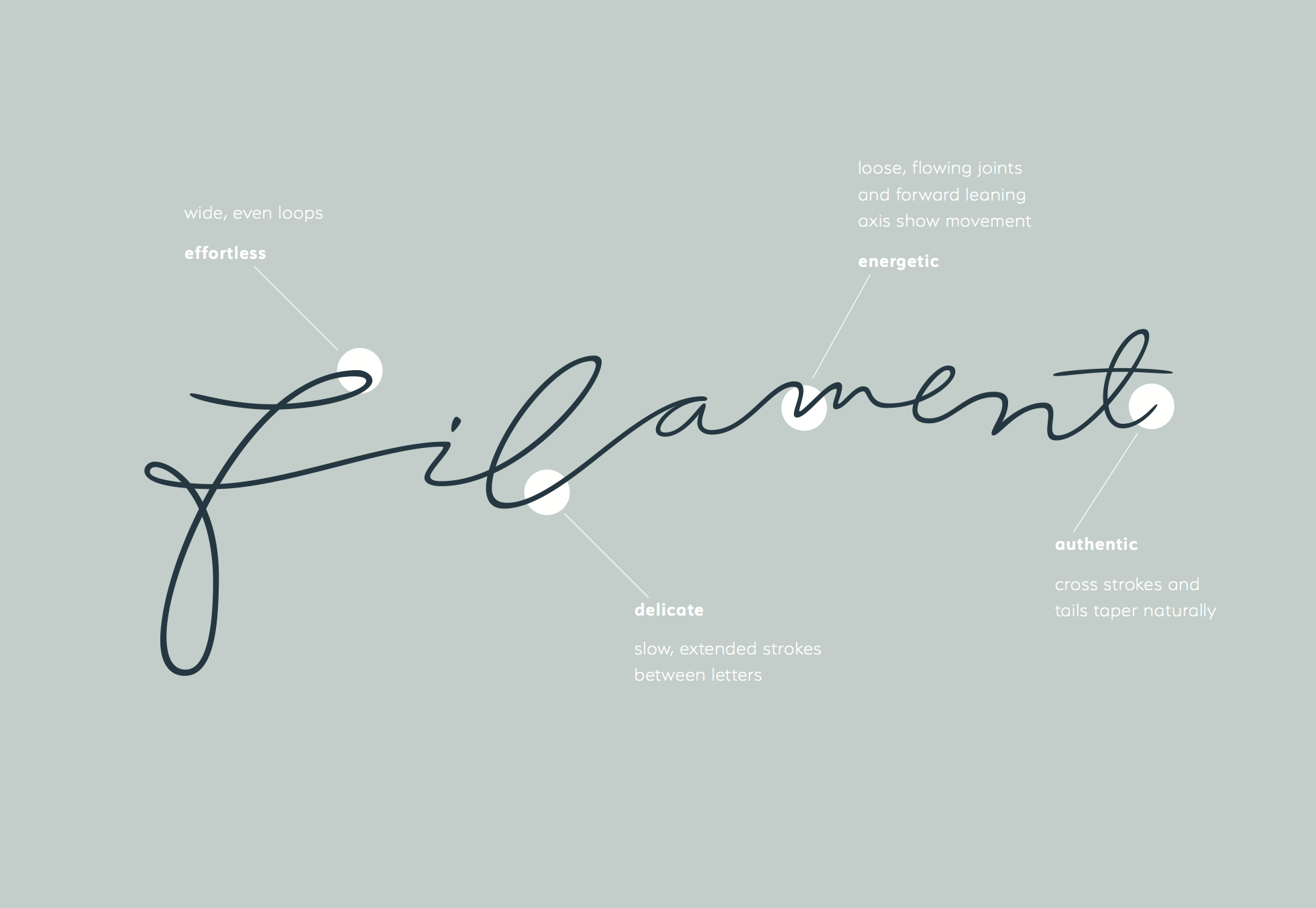 Filament Logo Cait Giambroni