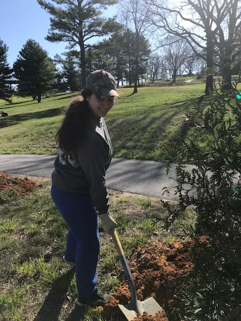Planting Trees 2018