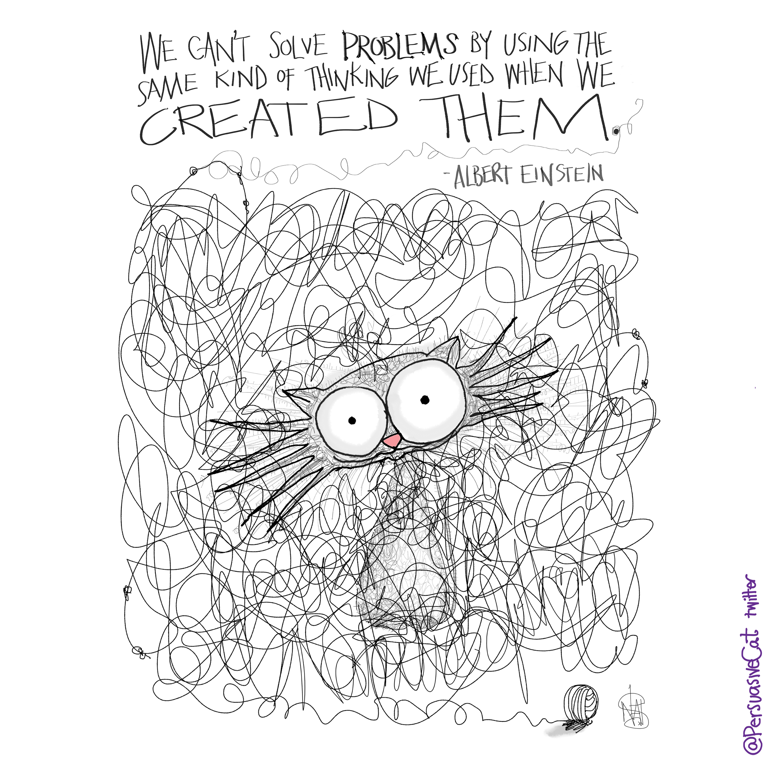Cat in string Einstein quote small_72 dpi.jpg