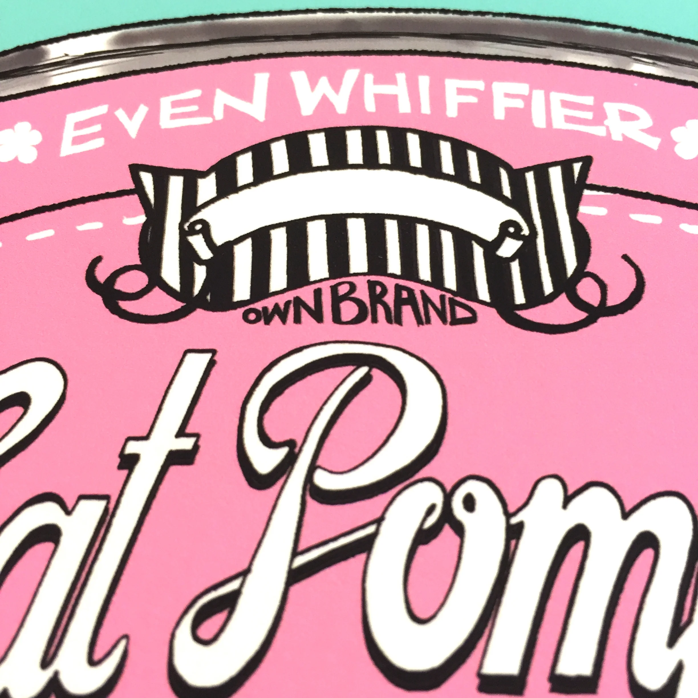 THE ORIGINAL CAT POMPS PRINT | PINK & TEAL | 301 x 301mm | FEATURING YOUR CAT'S NAME HAND-WRITTEN WITH LOVE 2