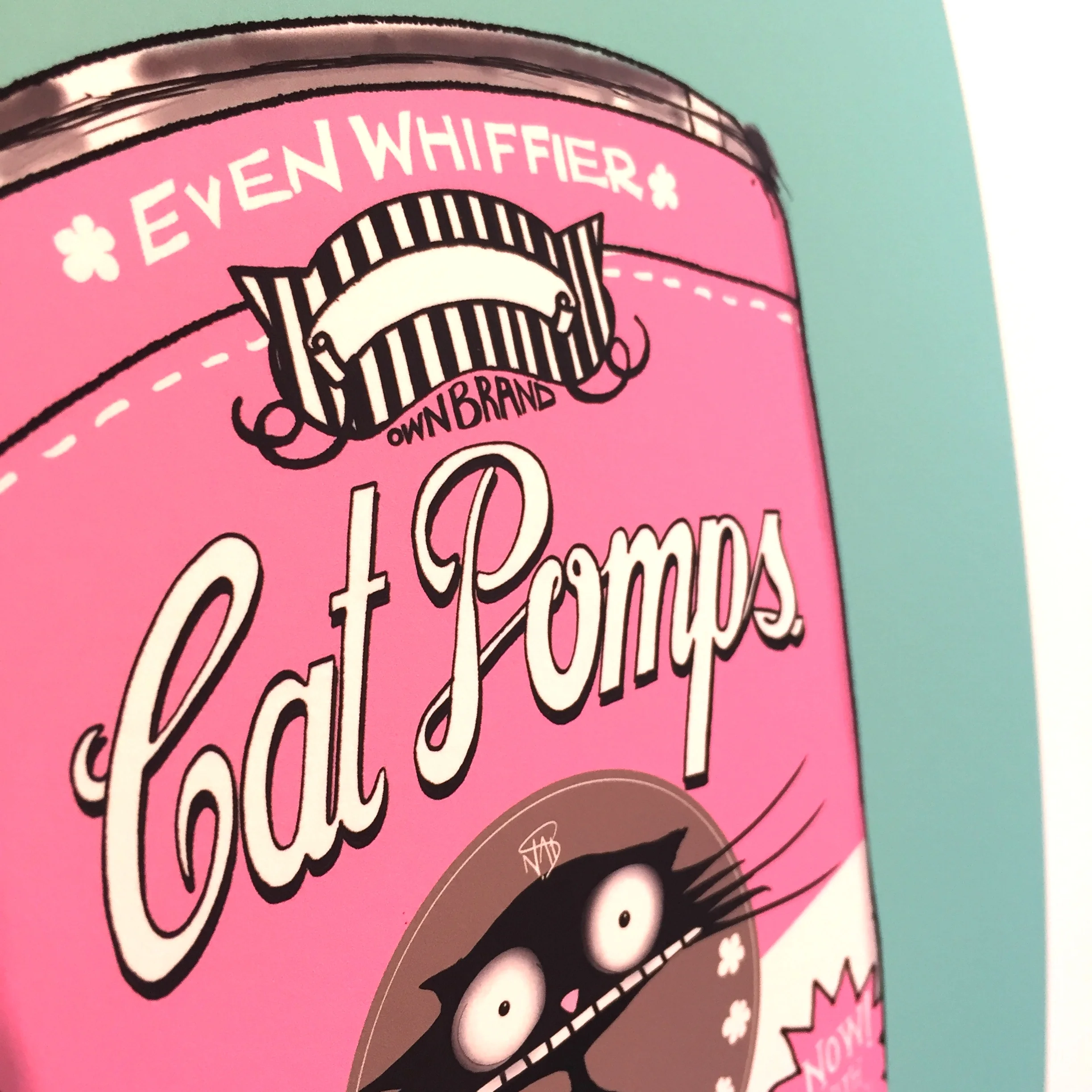 THE ORIGINAL CAT POMPS PRINT | PINK & TEAL | 301 x 301mm | FEATURING YOUR CAT'S NAME HAND-WRITTEN WITH LOVE 3
