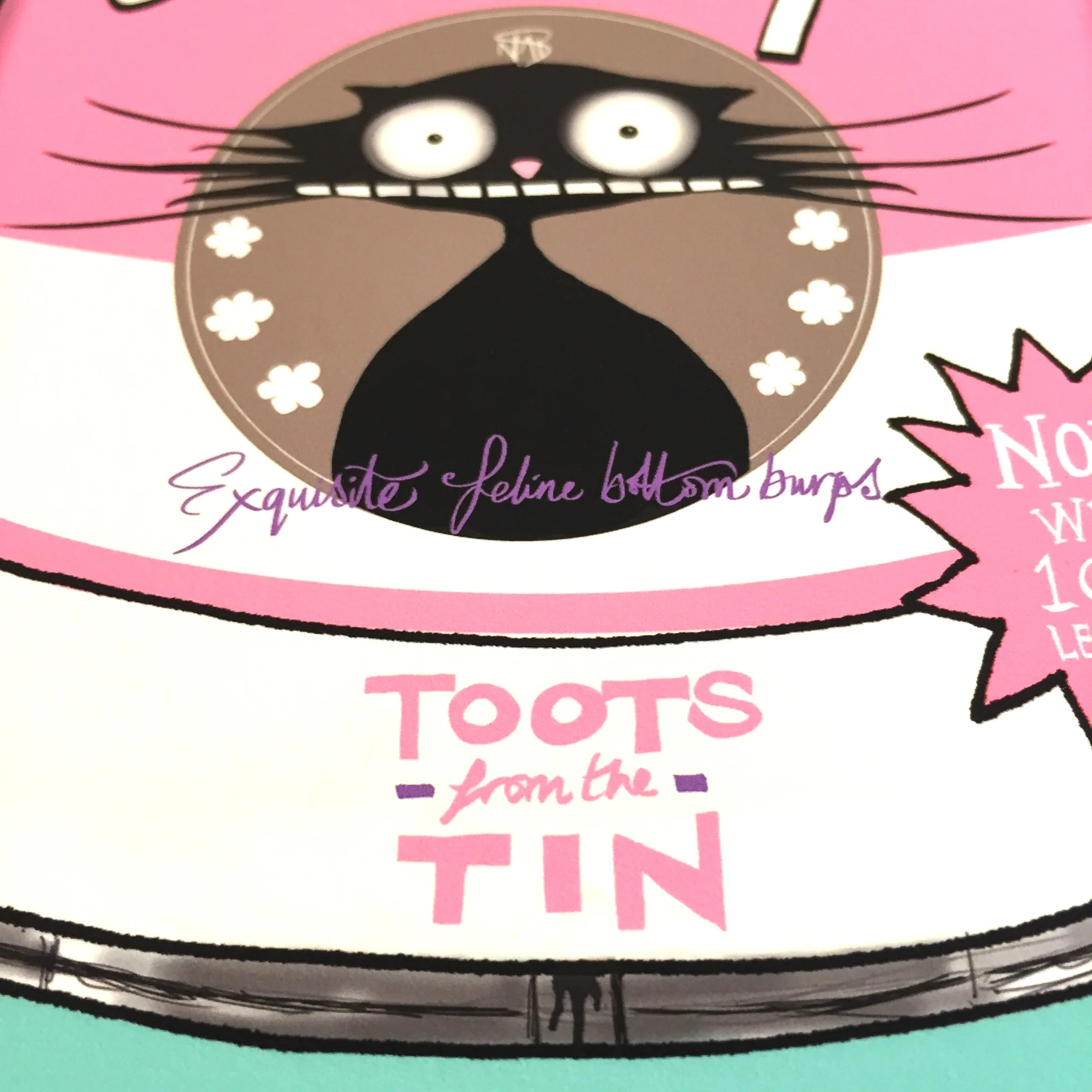 THE ORIGINAL CAT POMPS PRINT | PINK & TEAL | 301 x 301mm | FEATURING YOUR CAT'S NAME HAND-WRITTEN WITH LOVE 4