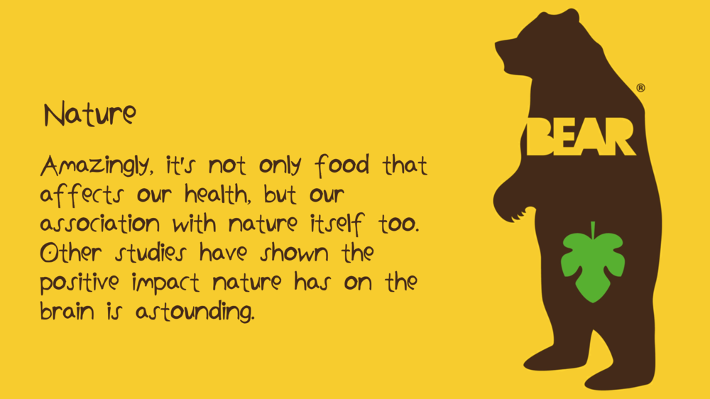 Natalie Palmer Sutton | hand illustrated ideas for Bear Nibbles 31.png