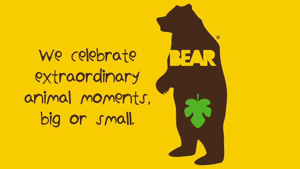 Bear Ideas 19th October 2016.014 Natalie Palmer Sutton | hand illustrated ideas for Bear Nibbles 40.jpeg