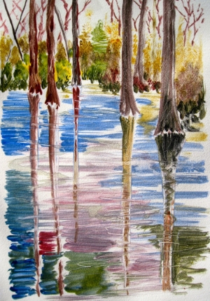 Hilton Head Swamp