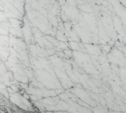 VENATINO CARRARA