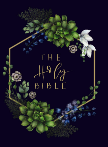 Screen Shot 2019-06-27 at 11.43.15 AM.png