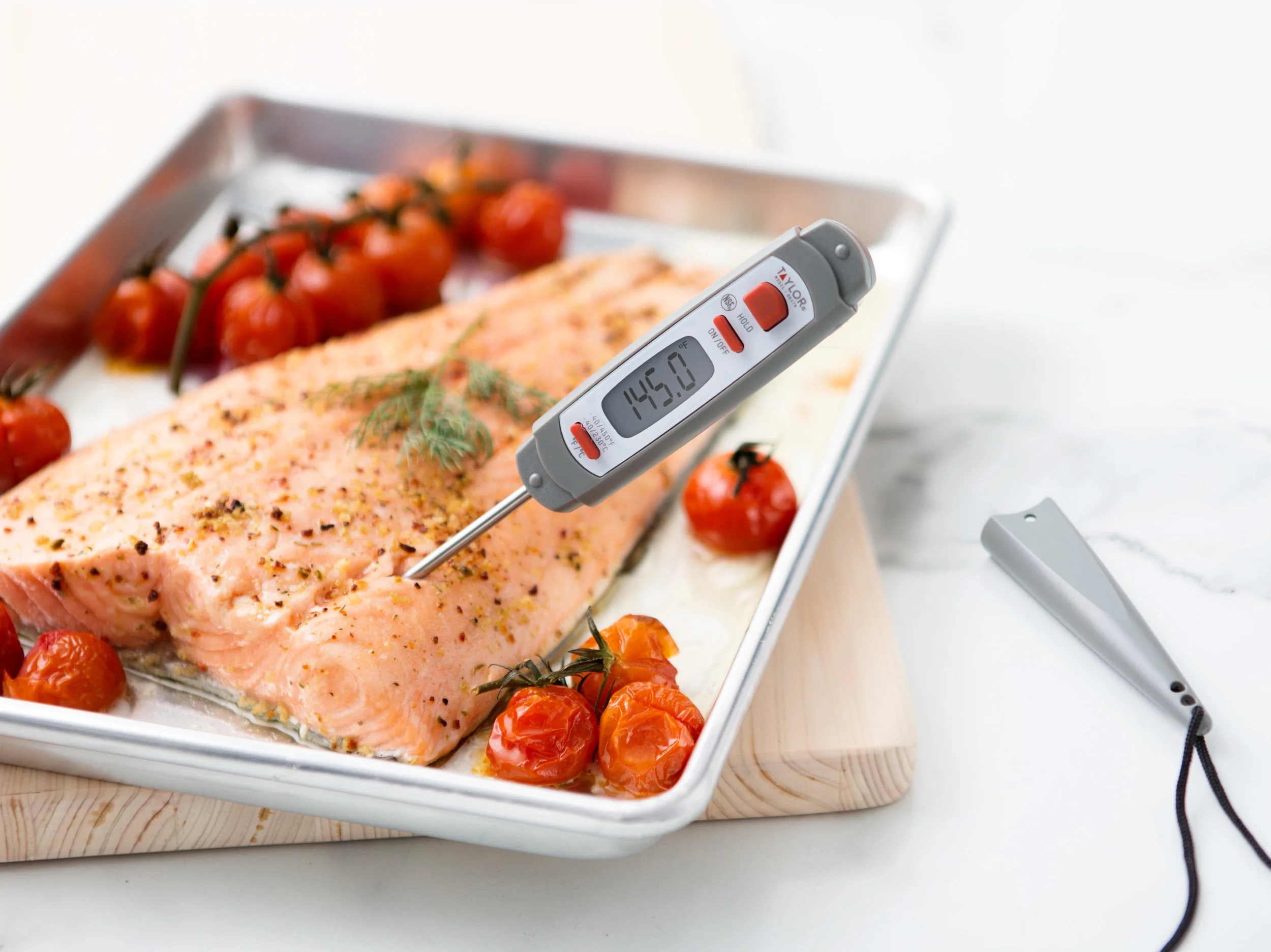 salmon