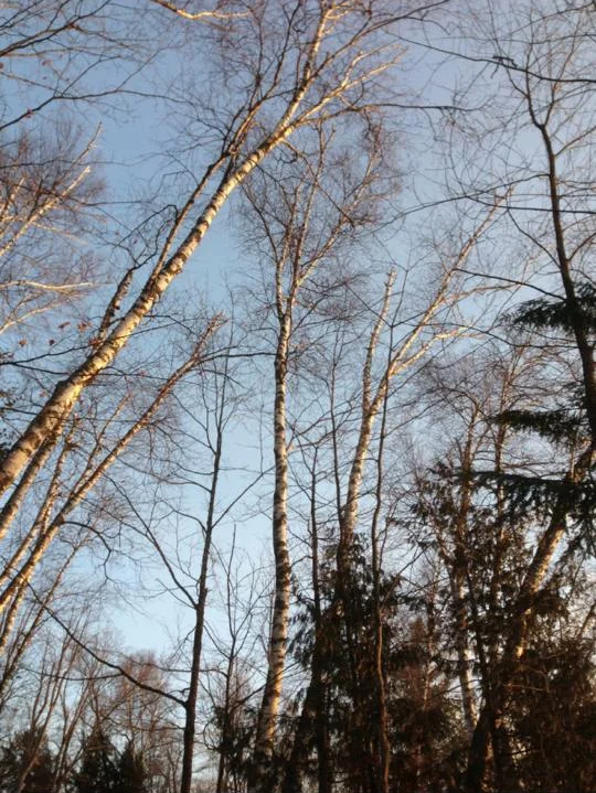 Untitled-39.jpg