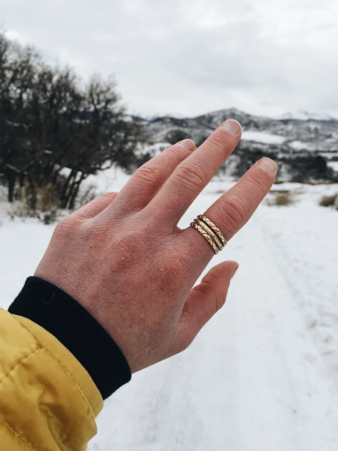 vsco_122116.jpg
