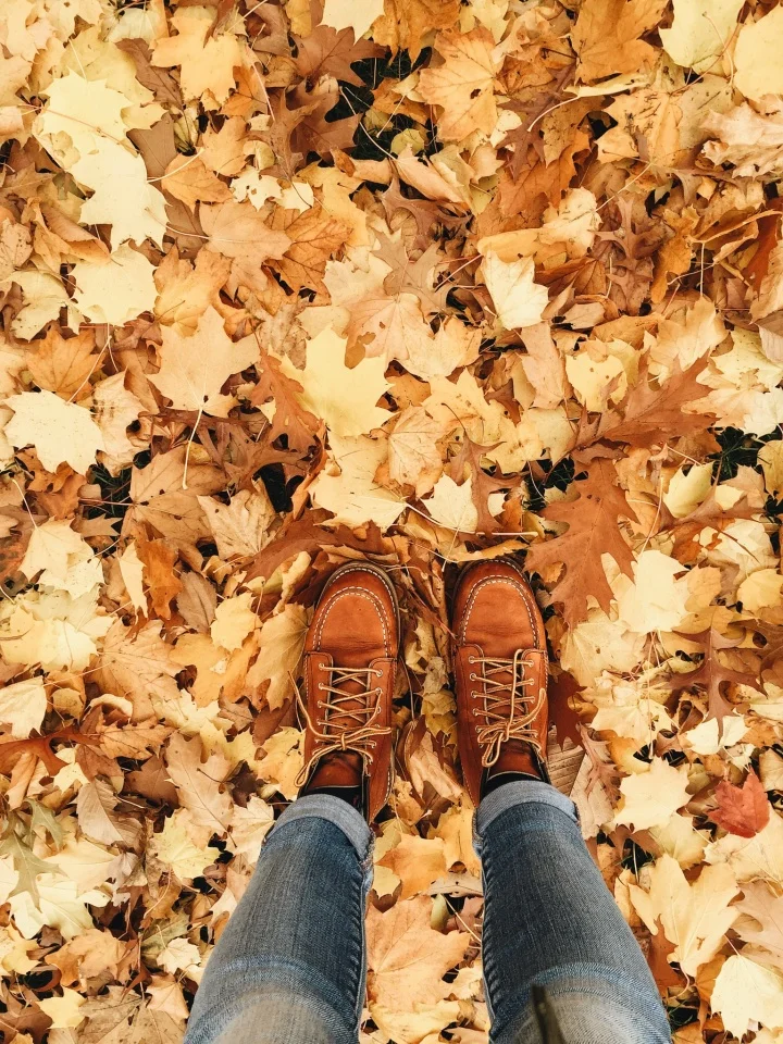 vsco_112016.jpg