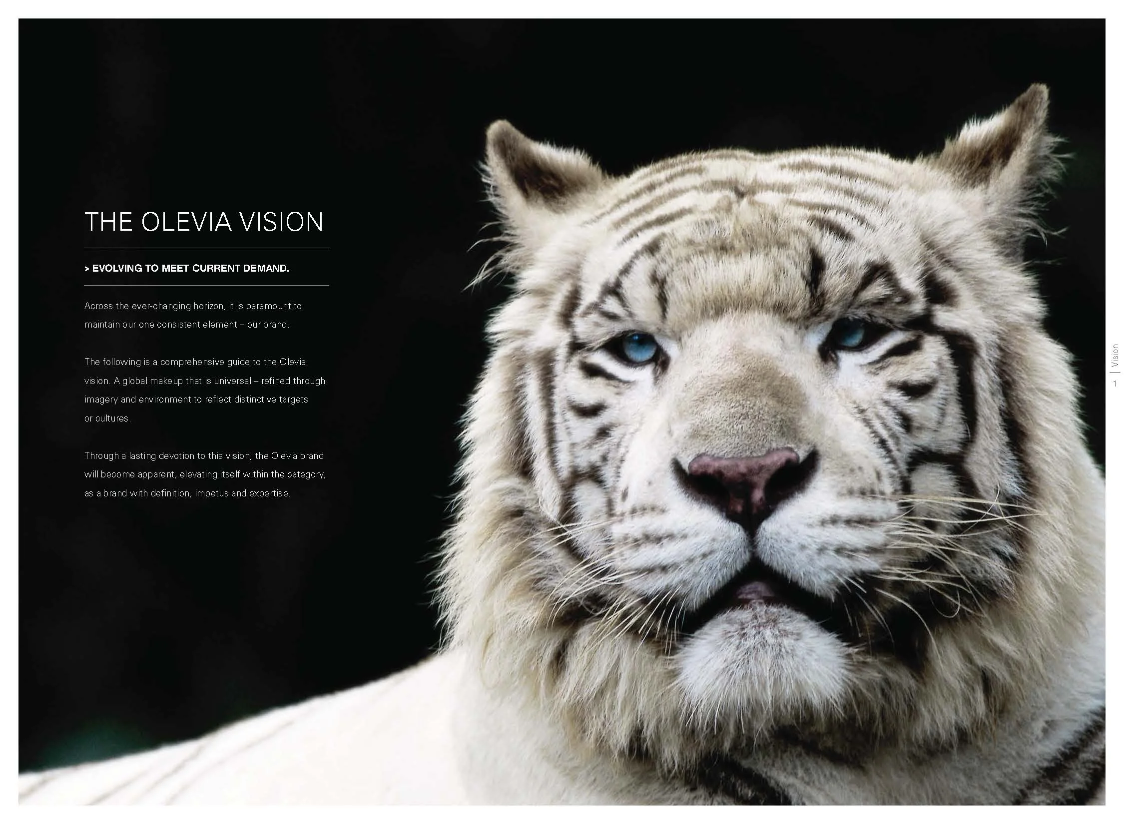 03_Olevia_Brand.jpg