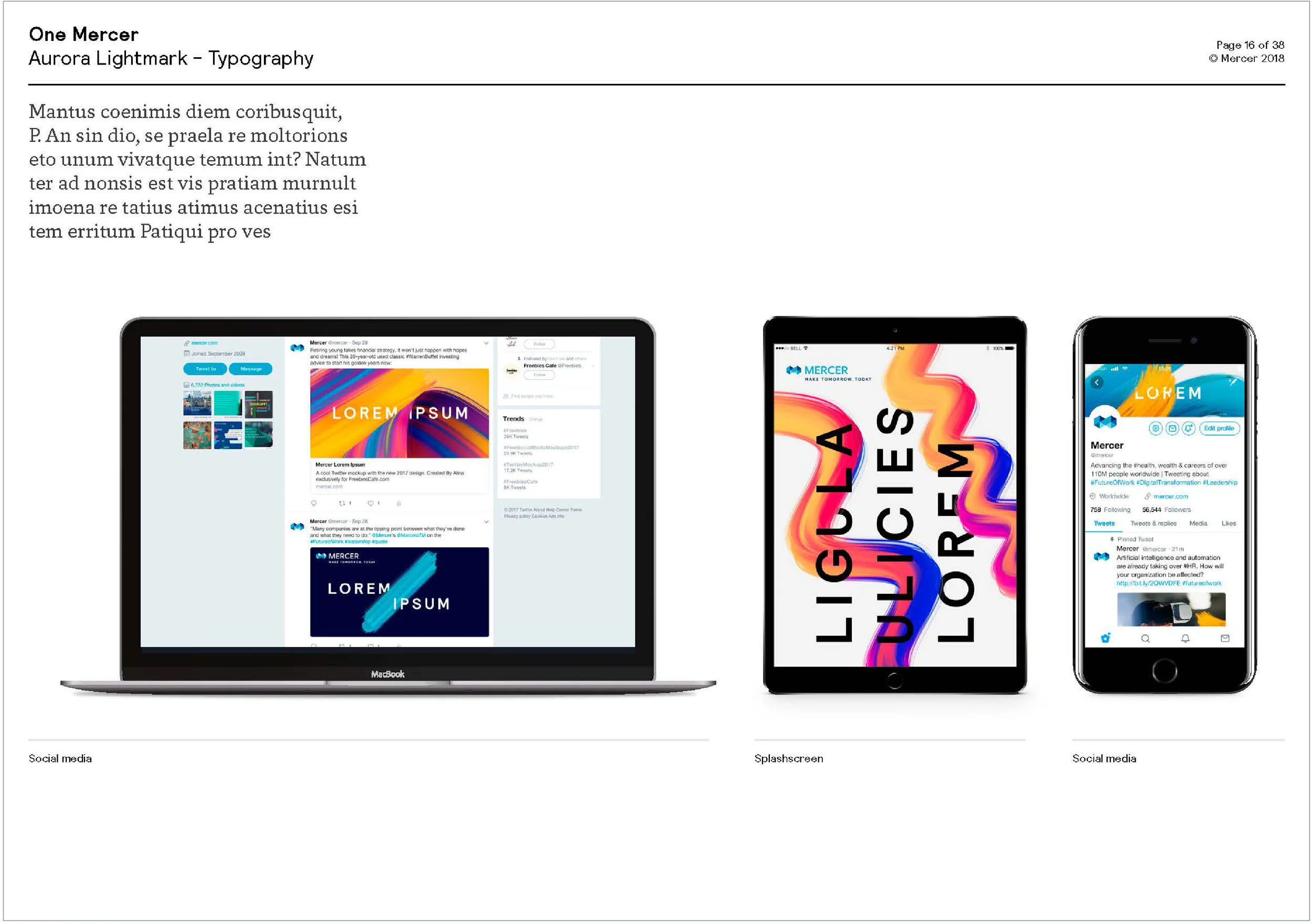 CONTENT_Mercer Rebrand Presentation_Rule-09.jpg