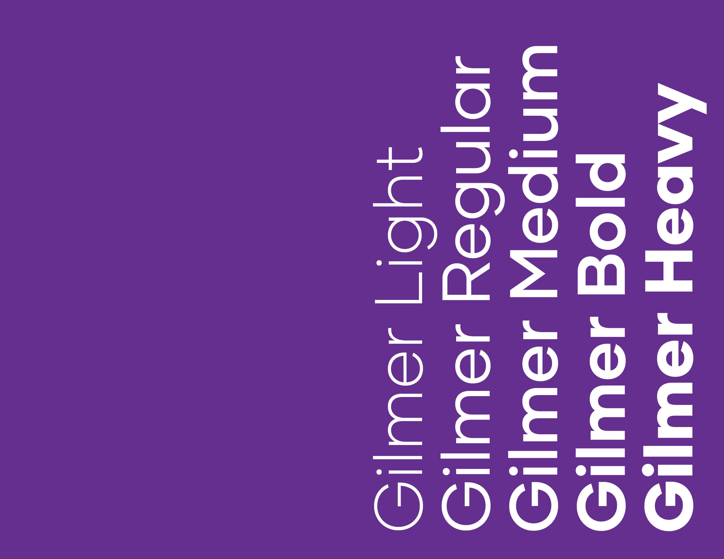 Mocana Brand Guide23.jpg