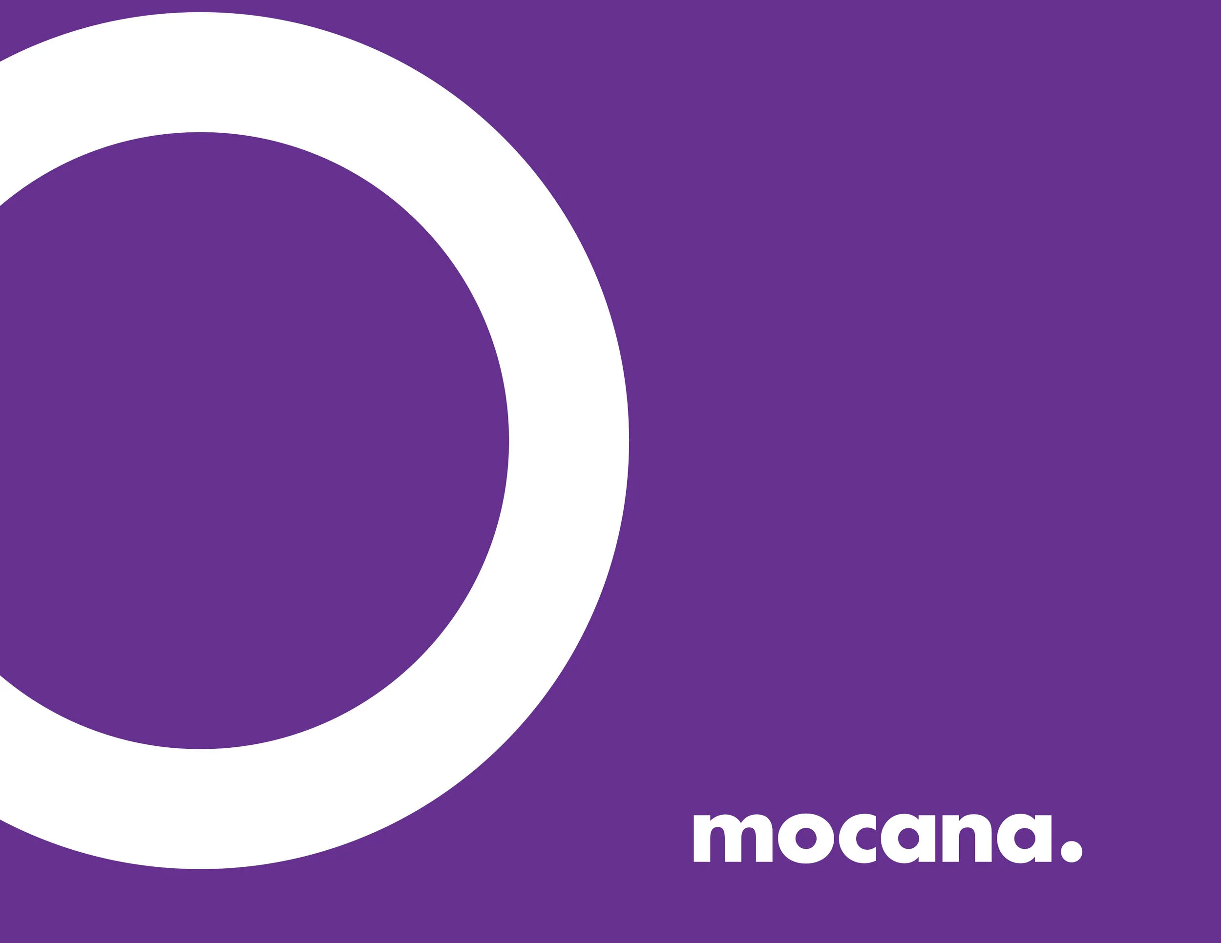 Mocana Brand Guide78.jpg