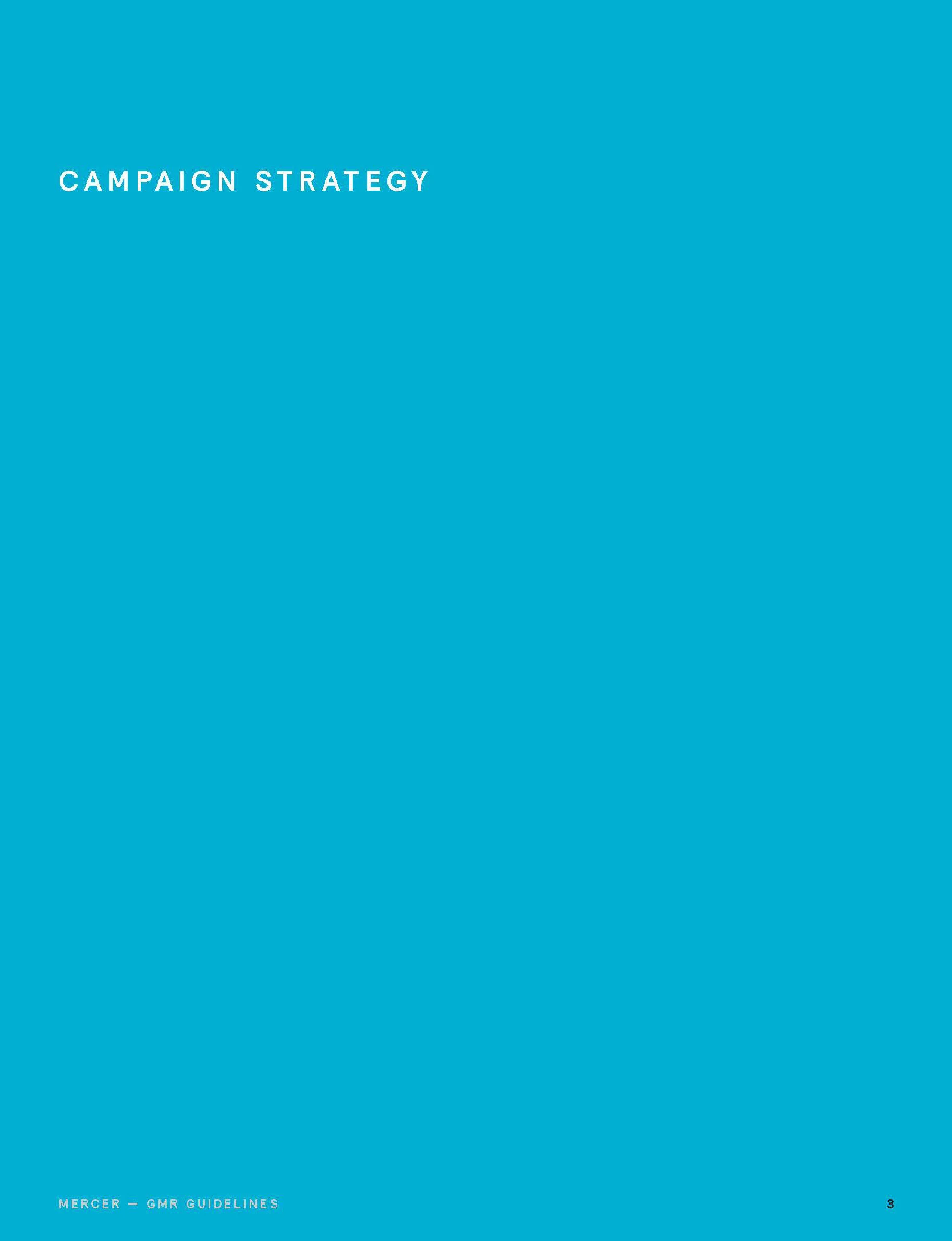 CONTENT_Mercer_Brand Guide-03.jpg