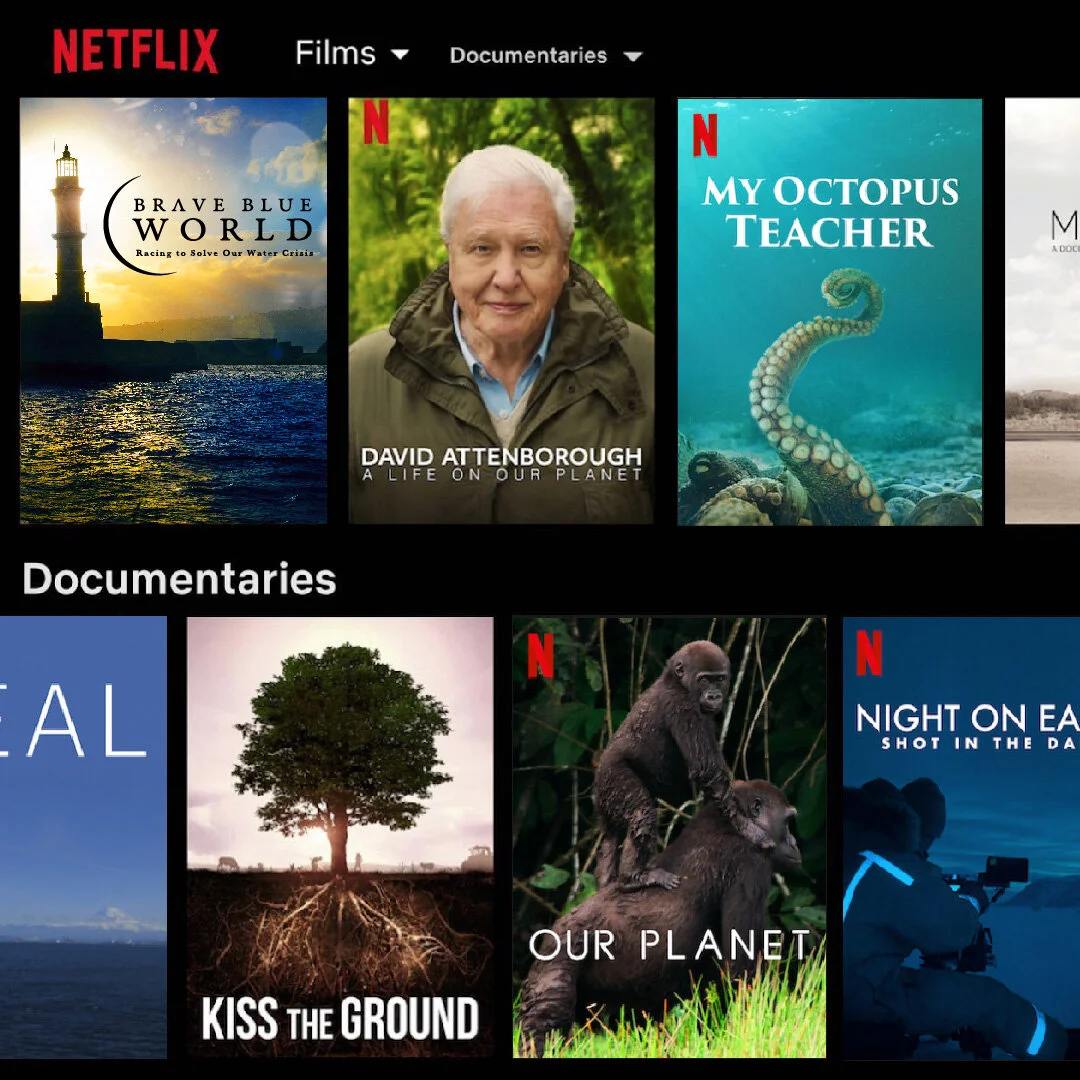 Hero_Brave_Blue_World_Netflix_Placeholder-02.jpg