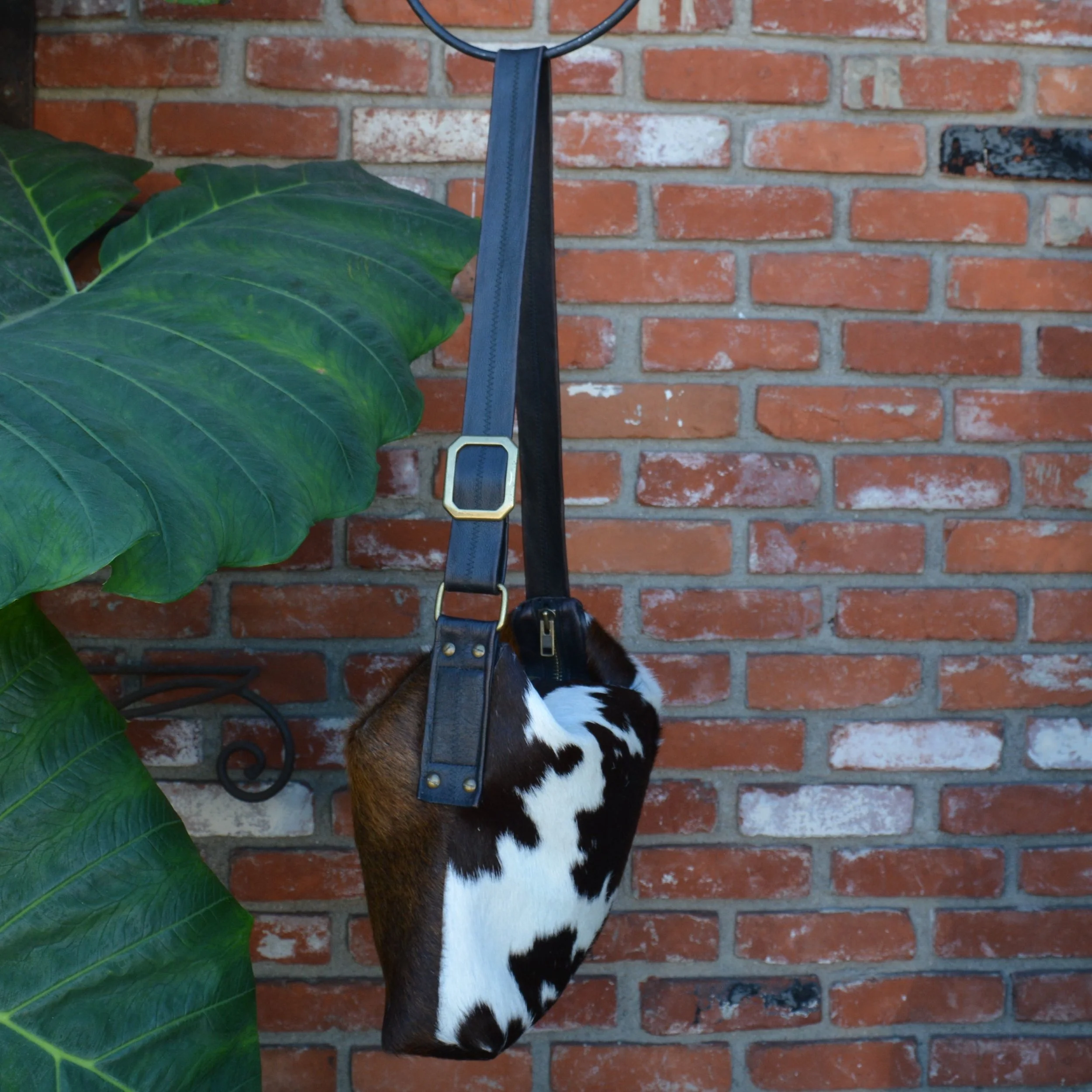 DSC_2334.jpg