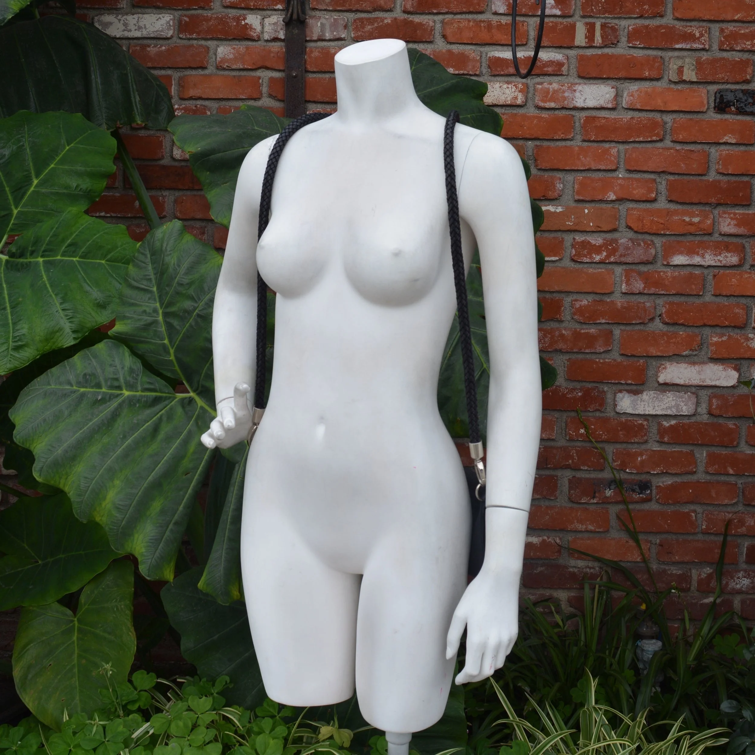 DSC_2552.jpg