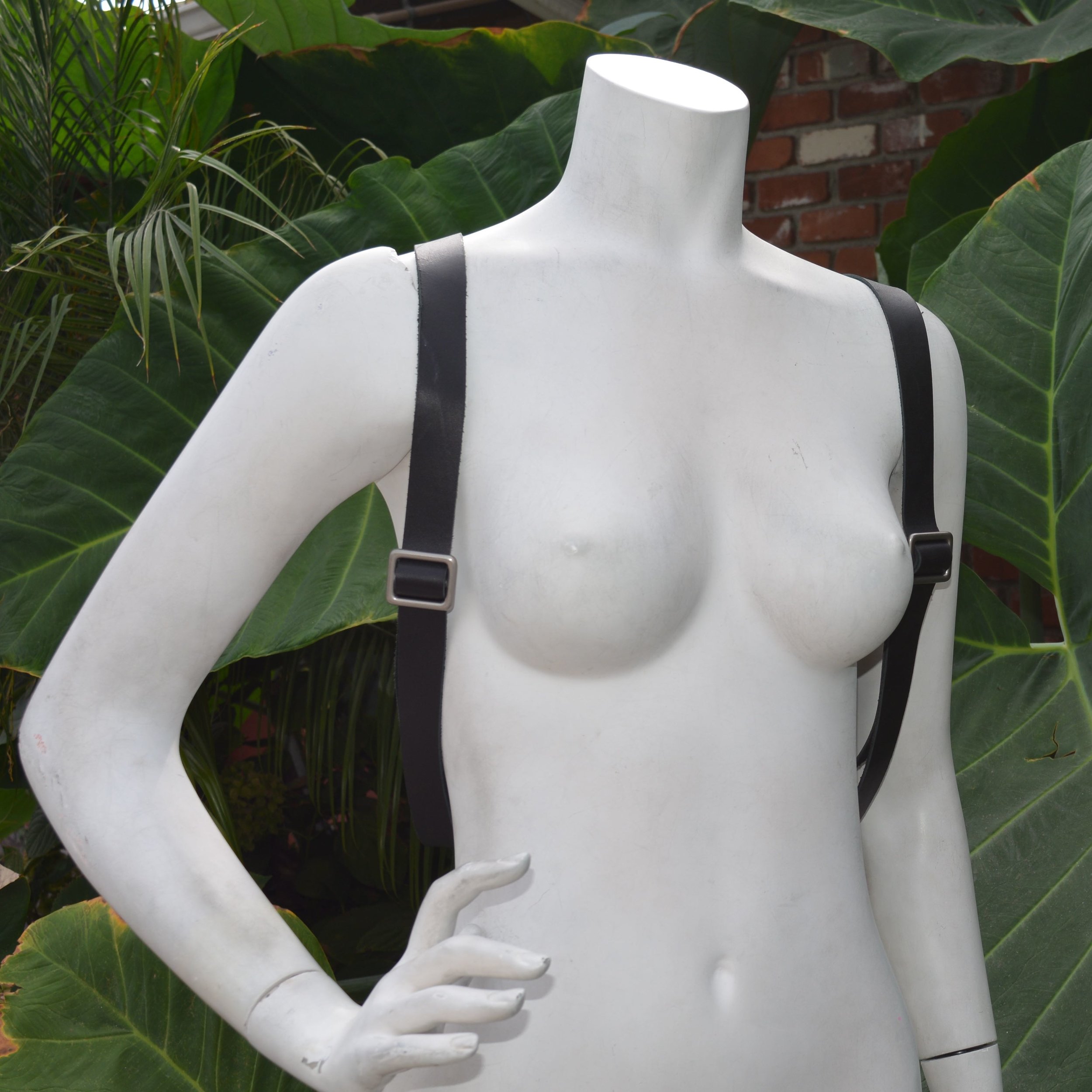 DSC_2699.jpg