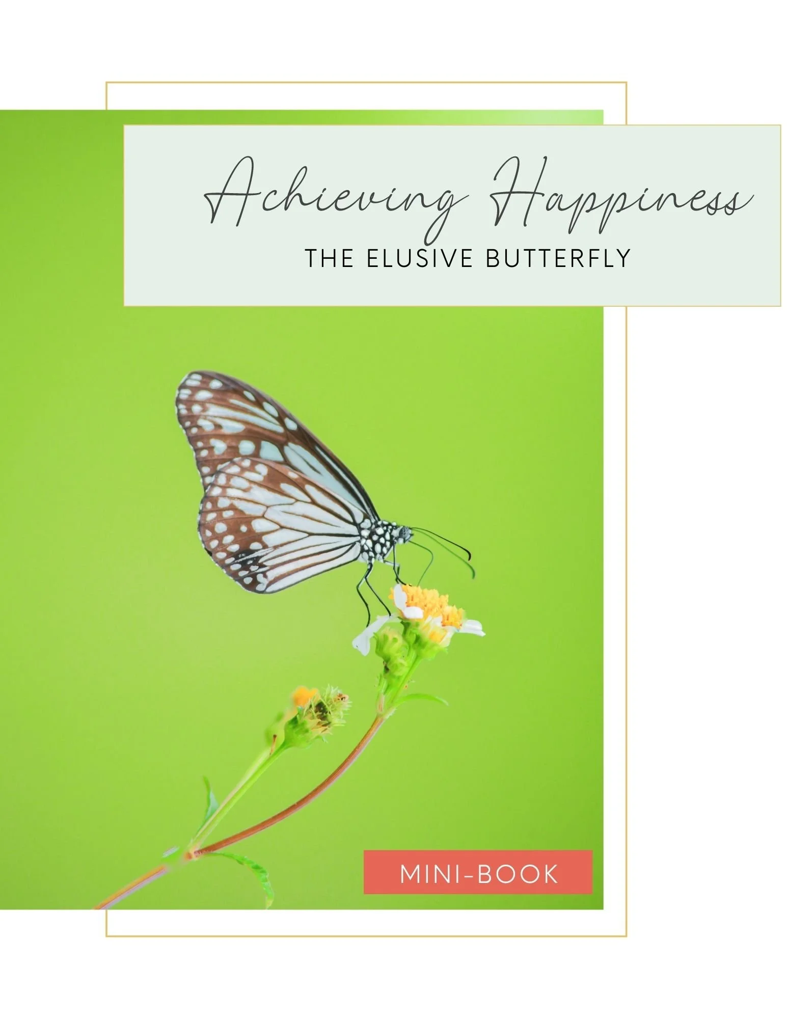 Achieving Happiness The Elusive Butterfly.jpeg