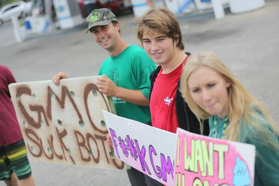Bee Line Hemp Wick Testimonial - GMO.jpg
