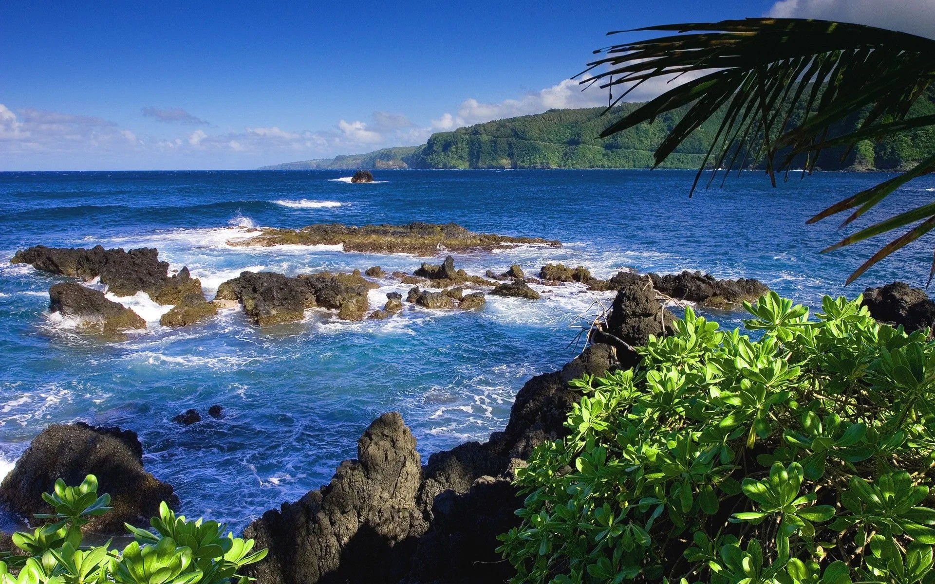 Island of Maui.jpg