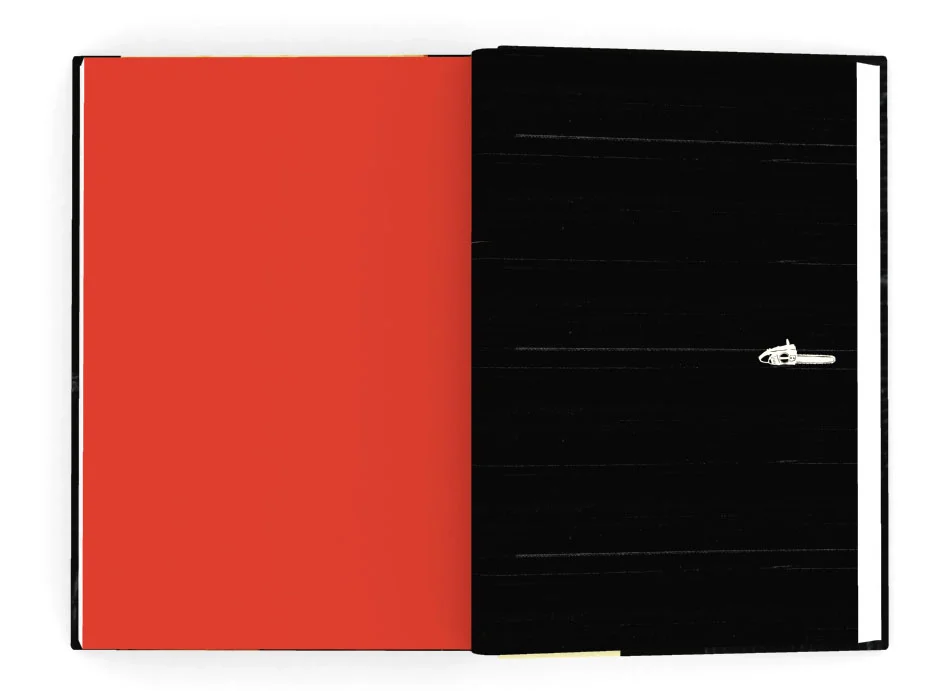 Chainsaw_Book11.jpg