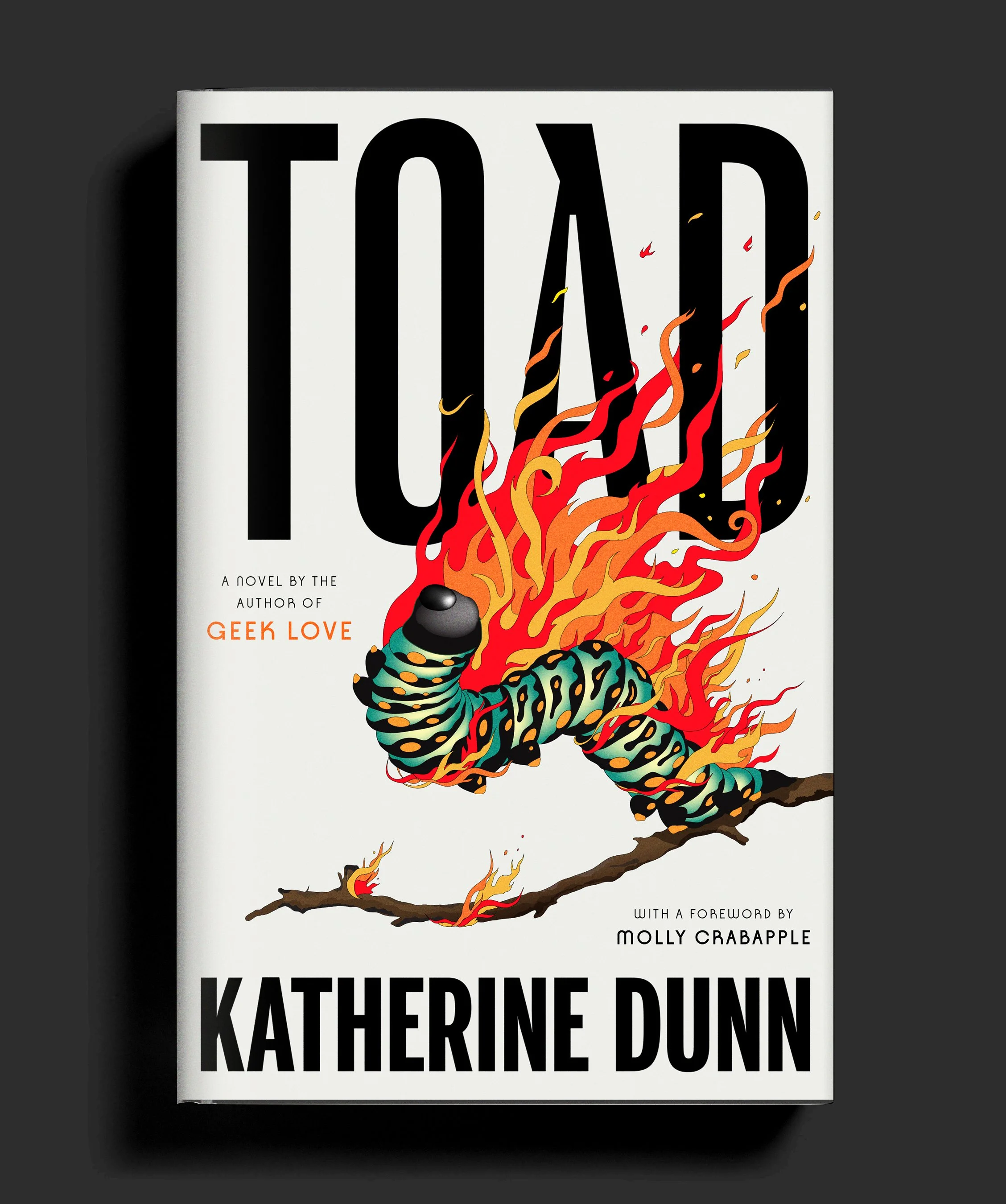 Toad_cvr_book2_POST copy.jpg