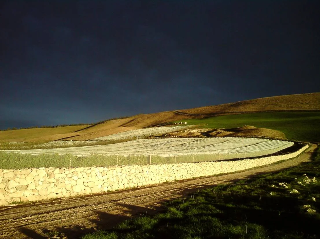 'Clos Ostler' Wall.jpg