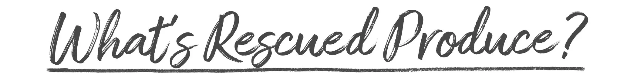 rescuedheader.jpg