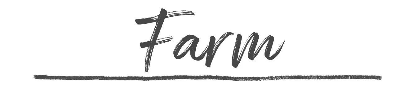 farm.jpg