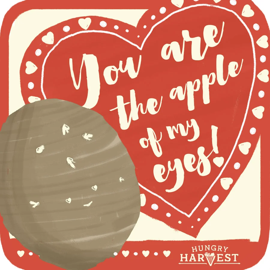 HH_Potato_VDay2018_S.jpg
