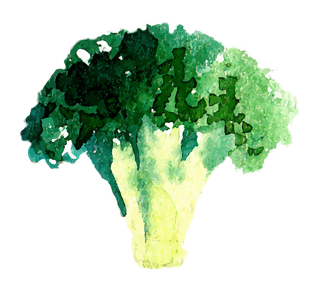 broccoliicon.jpg