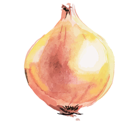 onions.jpg