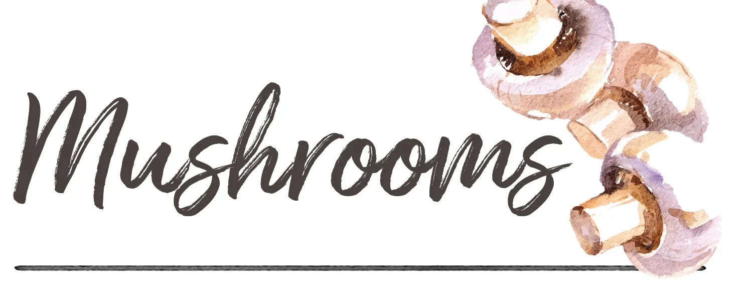 mushroomheader.jpg