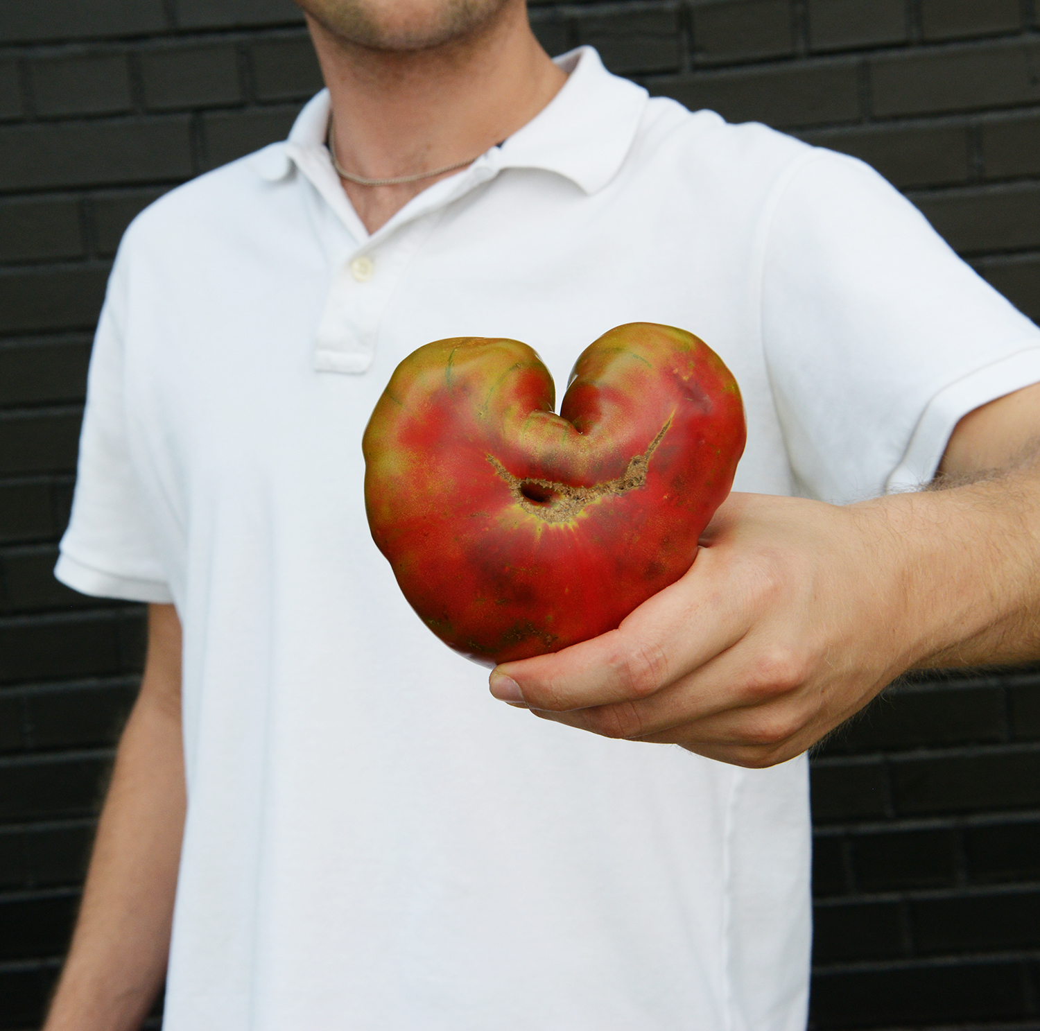 heart2.jpg