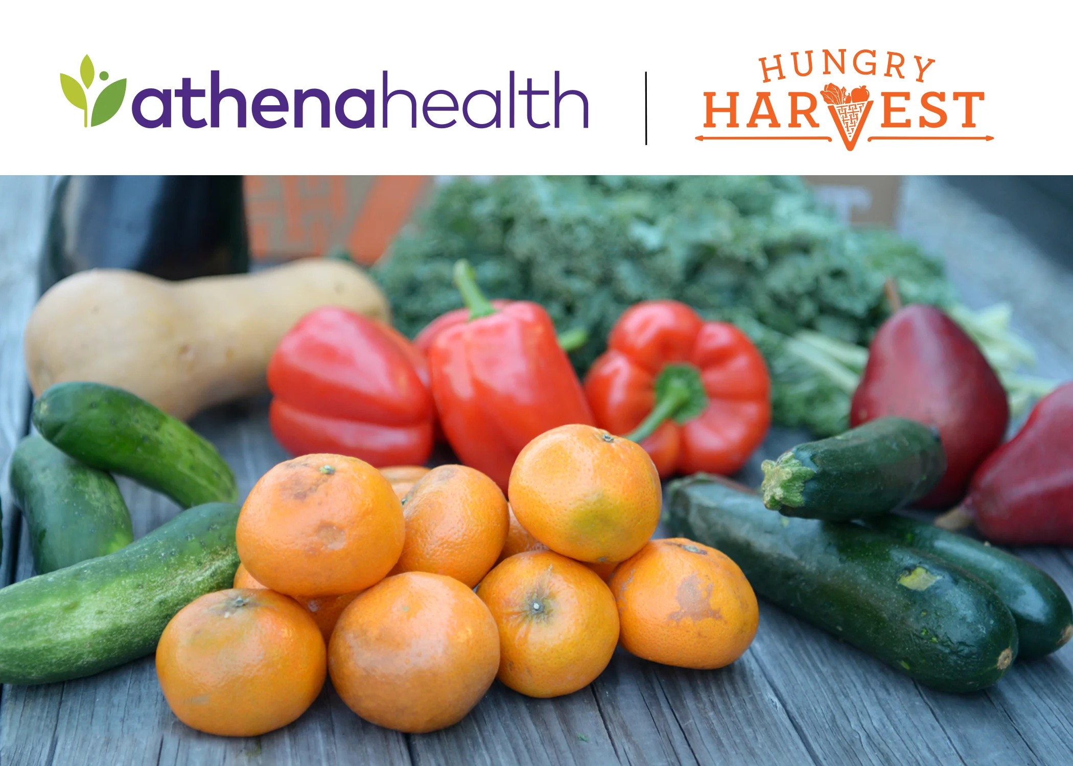 Partnering for a new solution in the fight against hunger