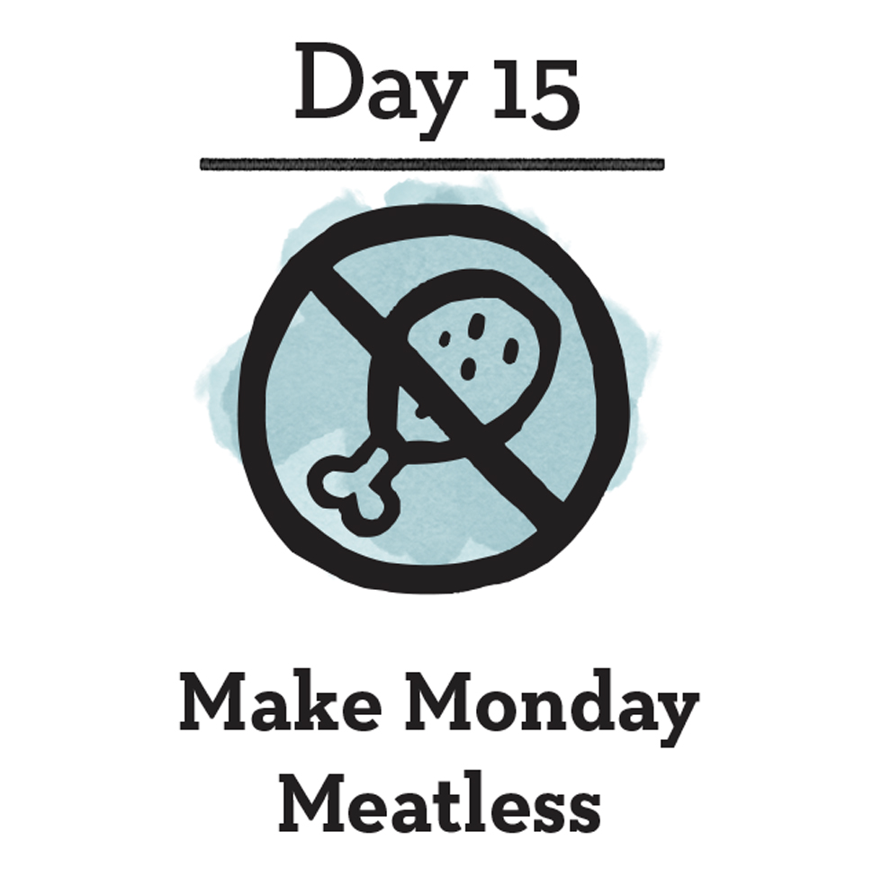 day15web.jpg