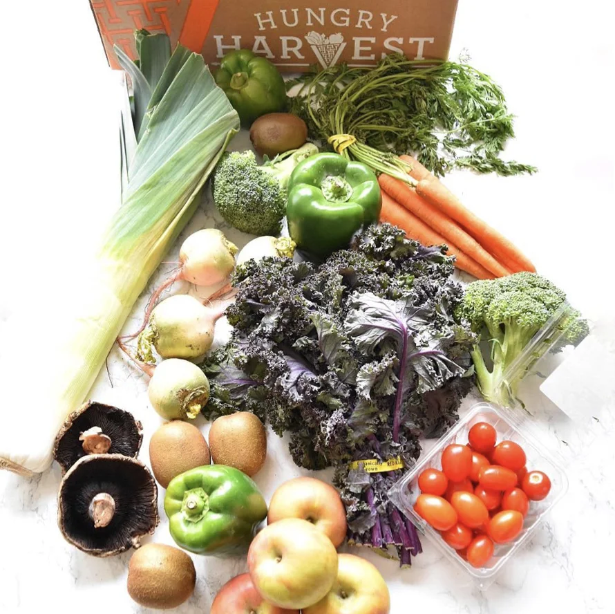 Blog — Hungry Harvest