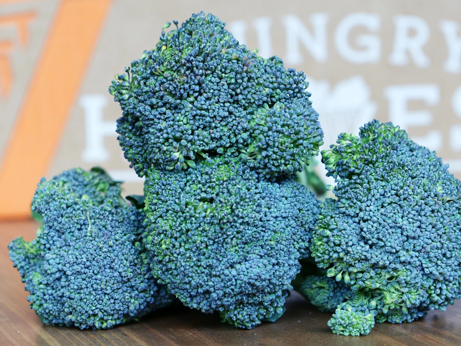 broccolu.jpg