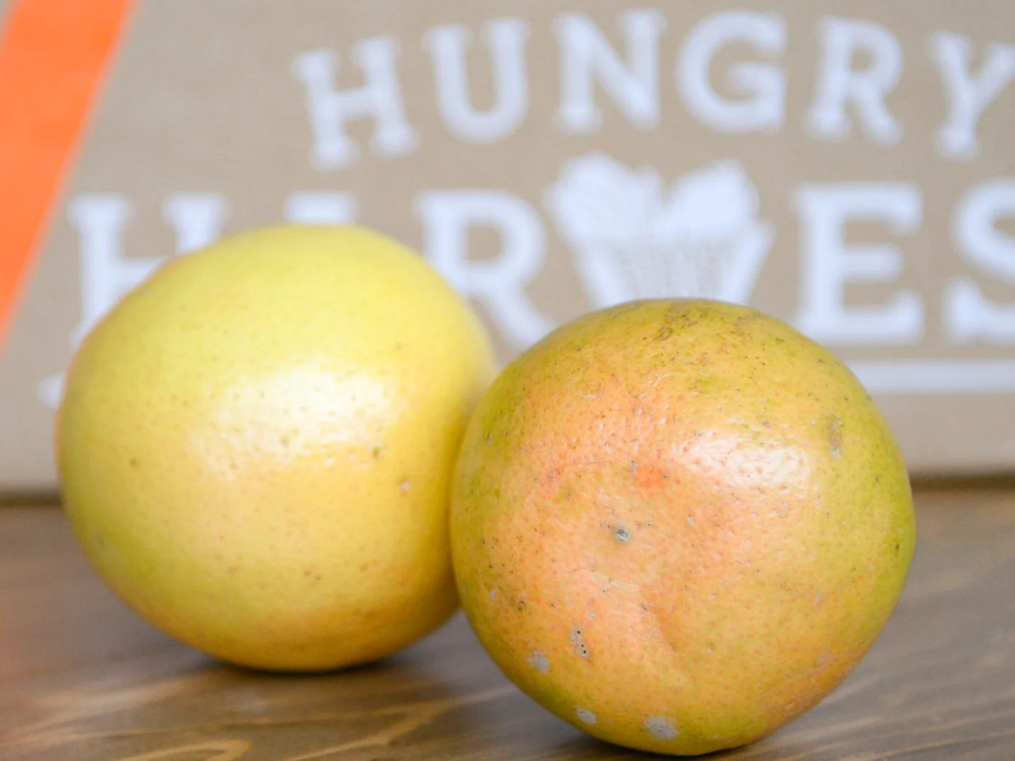 grapefruit.jpg