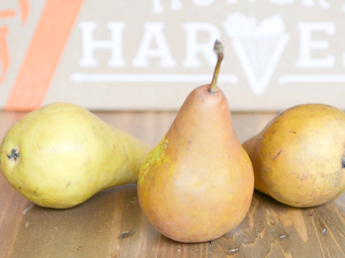 pears.jpg