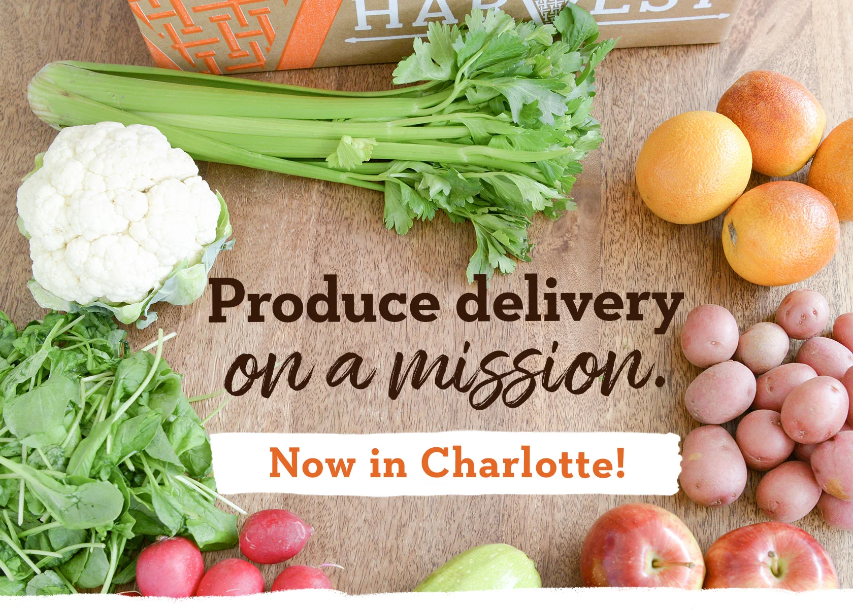 charlotteheader.jpg