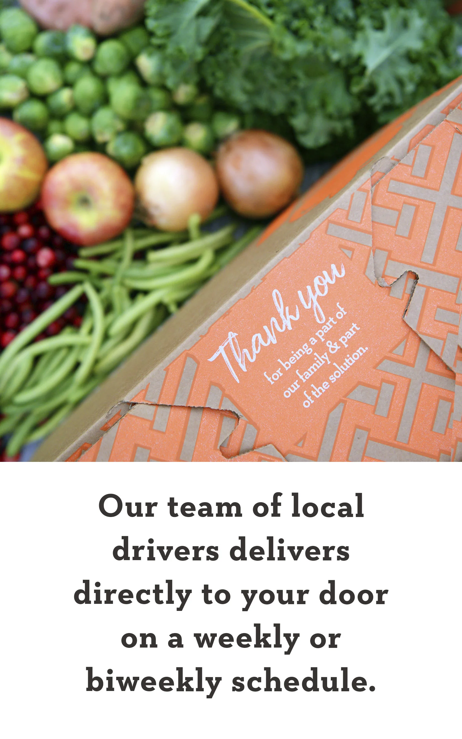 deliver.jpg