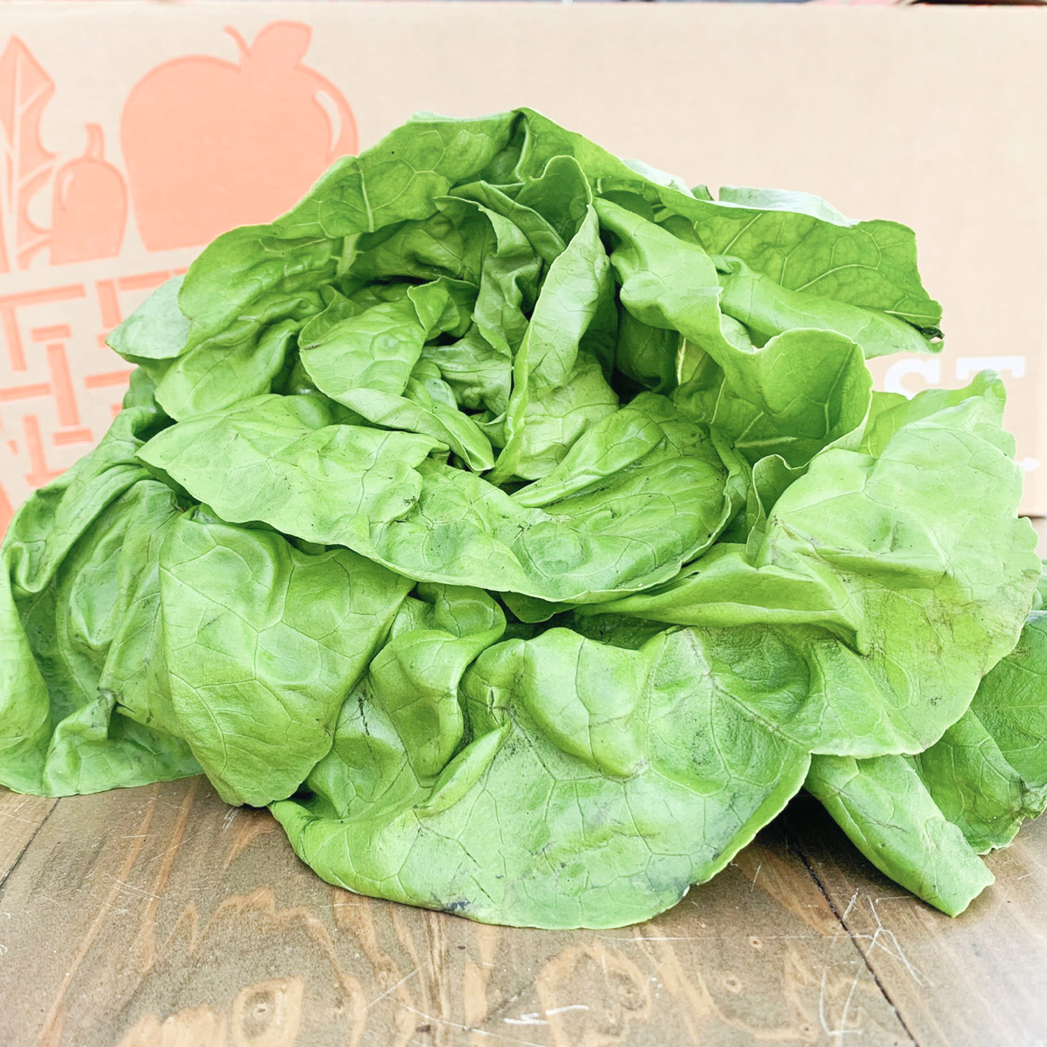 lettuce (1).jpg